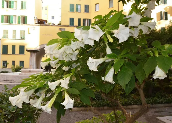 לינה וארוחת בוקר La Fontana Nel Cortile